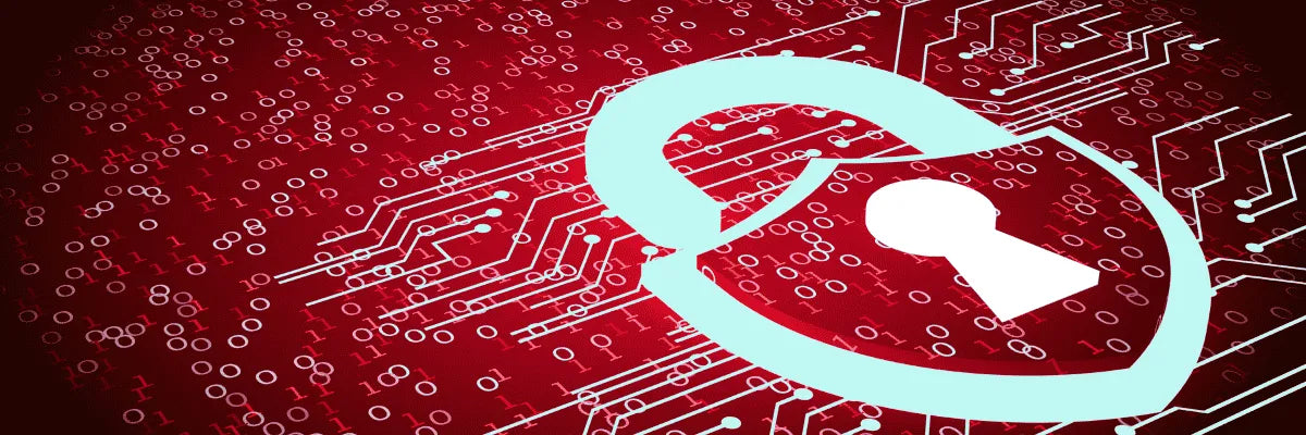 Control de acceso vs sistemas de seguridad: diferencias clave