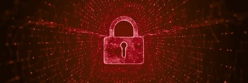 Protocolos de seguridad: fallas que facilitan delitos