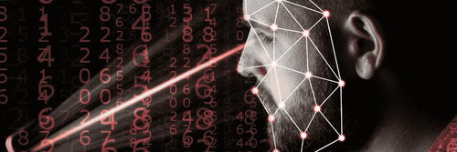 Software control de visitas con verificación facial