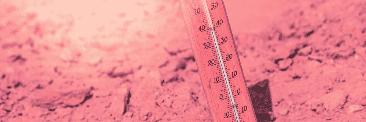 Barreras de acceso vehicular resistentes al clima: ¿realmente lo son?