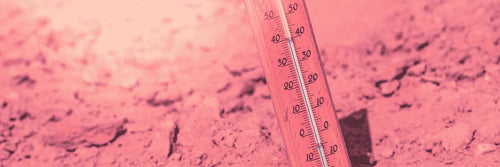 Barreras de acceso vehicular resistentes al clima: ¿realmente lo son?
