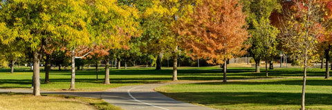 Parques en Lo Barnechea: cómo se protege la seguridad sin perder vida de barrio