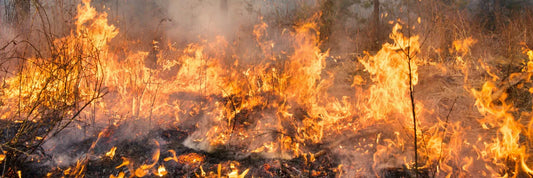 Incendios forestales 