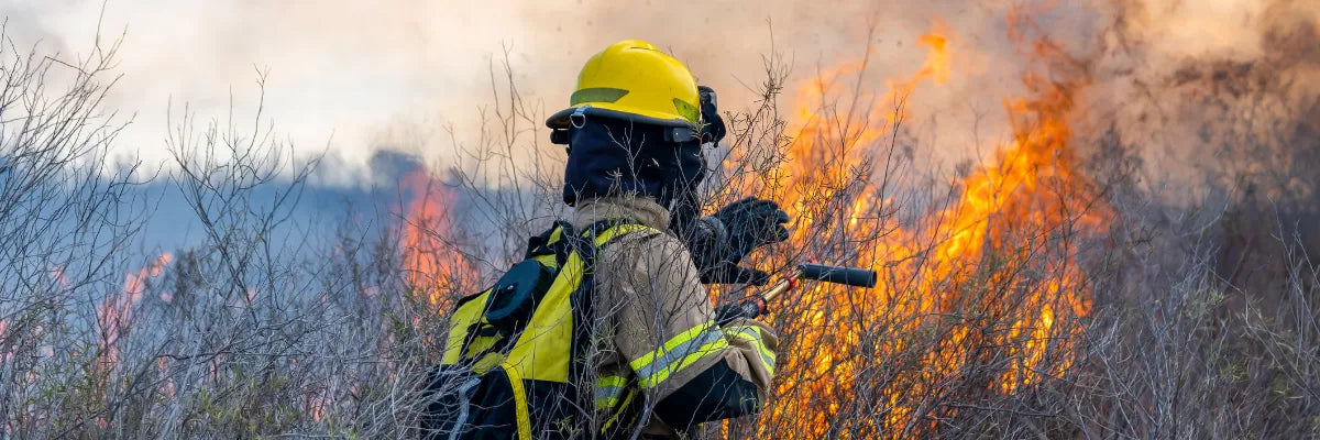 5 medidas de regulación de ingresos que ayudan a prevenir incendios forestales