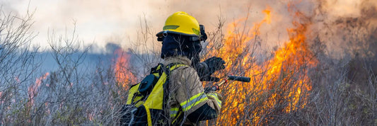  incendios forestales