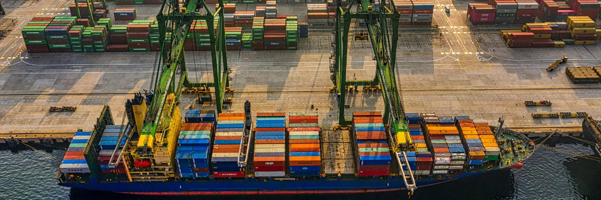 Talcahuano y el desafío de ordenar ingresos en zonas portuarias